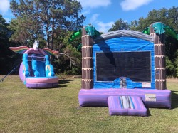 20240615 095238 1748224420 AL's Tropical Island Bounce
