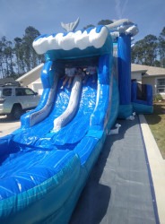 486416990 656686796718307 3100643070933615451 n 1748224307 AL's Dolphin Duo Combo