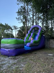 4db2d013 438f 466f b90e 4a4af9042bd3 1748223246 AL's 15' Purple Slide