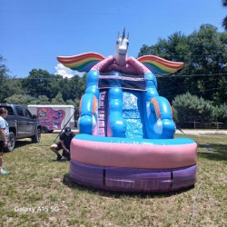 7c57397e 6b9f 4349 8ece 91aed1c932ec201 1748223352 AL's 16' Unicorn Glitter Wet Slide